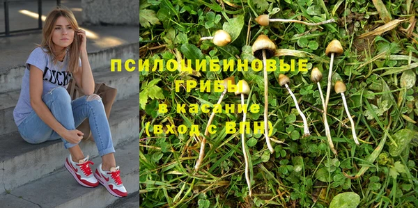 дурь Вяземский