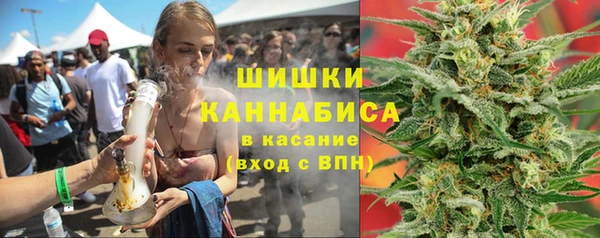 прущие грибы Вязьма